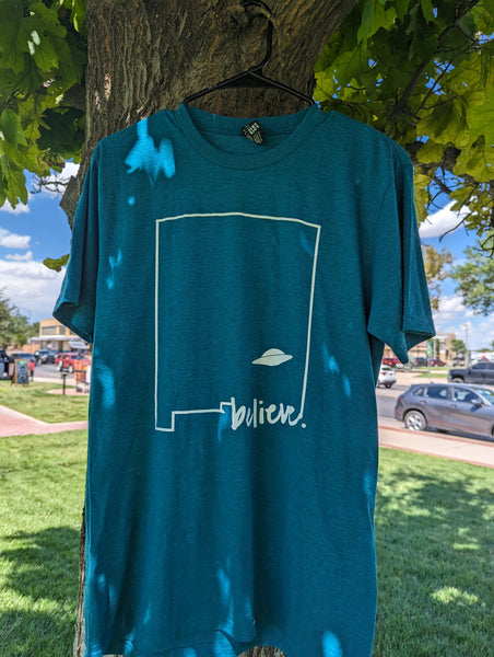 New Mexico Outline Teal On-Line